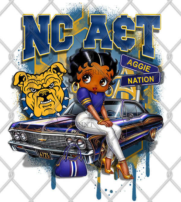 HBCU OLDIE (2pack)