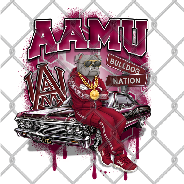 HBCU OLDIE MALE (2pack)