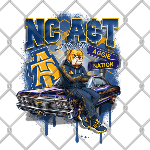 HBCU OLDIE MALE (2pack)