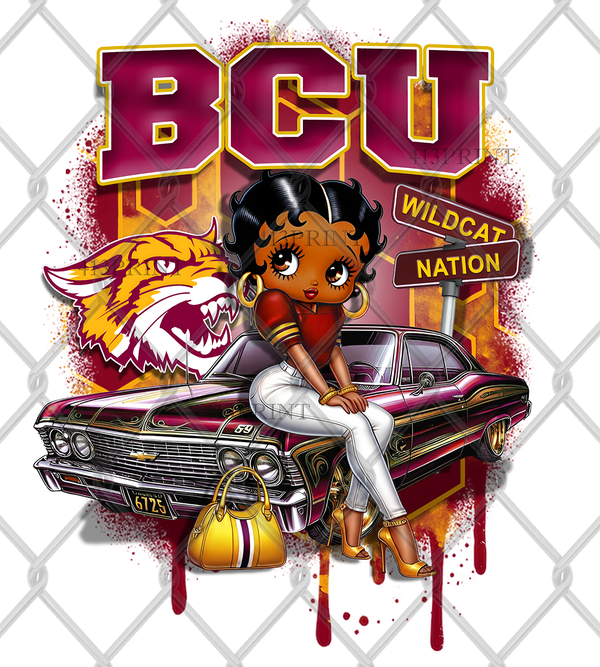 HBCU OLDIE (2pack)