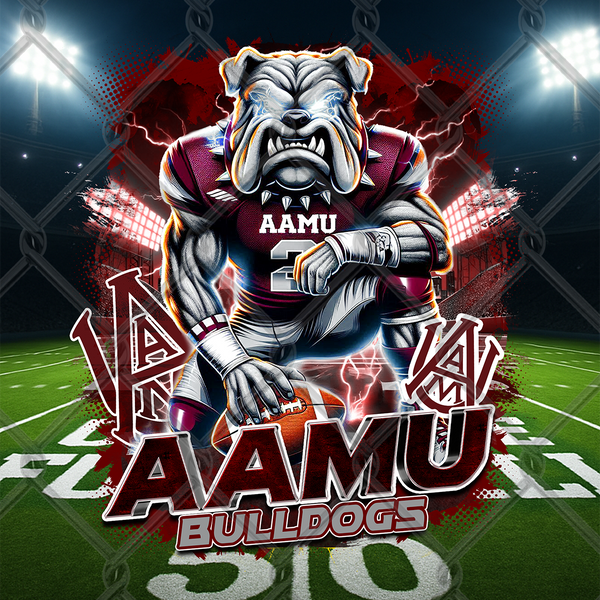 HBCU LIGHTNING (2pk)