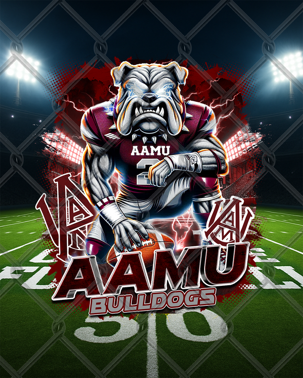 HBCU LIGHTNING (2pk)