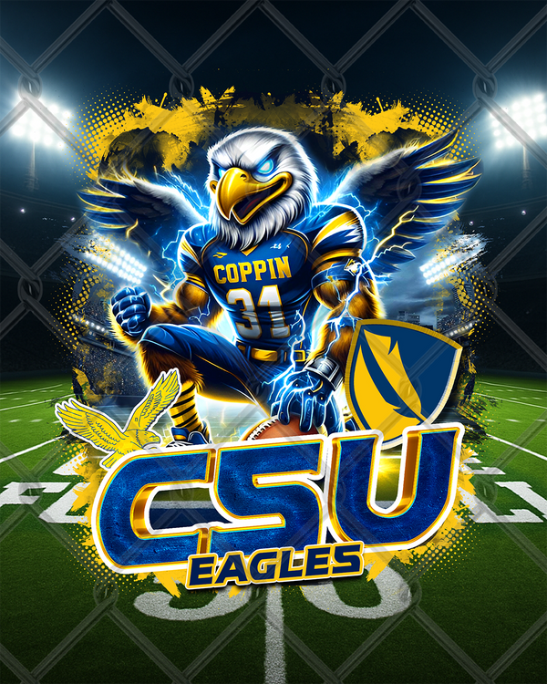 HBCU LIGHTNING (2pk)