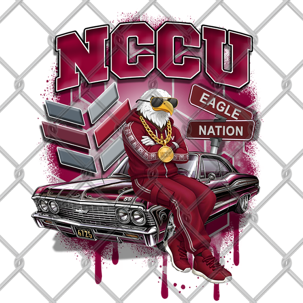 HBCU OLDIE MALE (2pack)