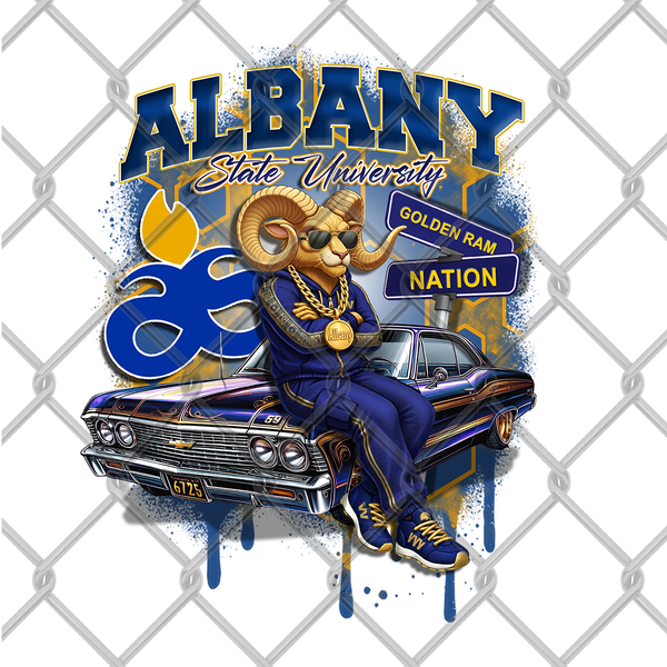 HBCU OLDIE MALE (2pack)