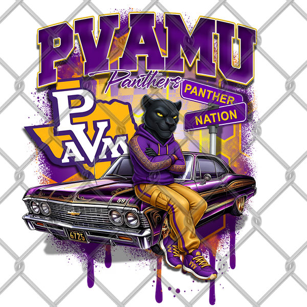 HBCU OLDIE MALE (2pack)