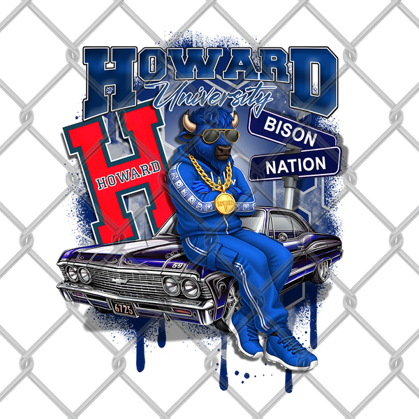 HBCU OLDIE MALE (2pack)