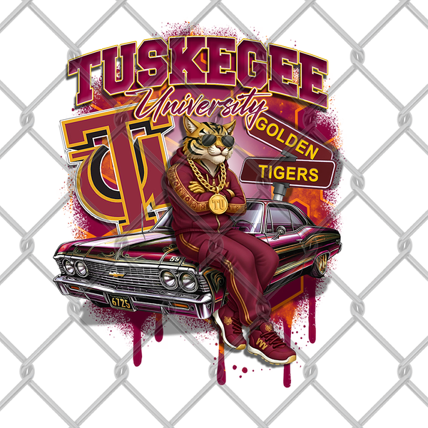 HBCU OLDIE MALE (2pack)