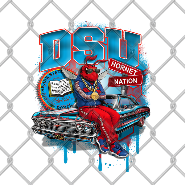 HBCU OLDIE MALE (2pack)